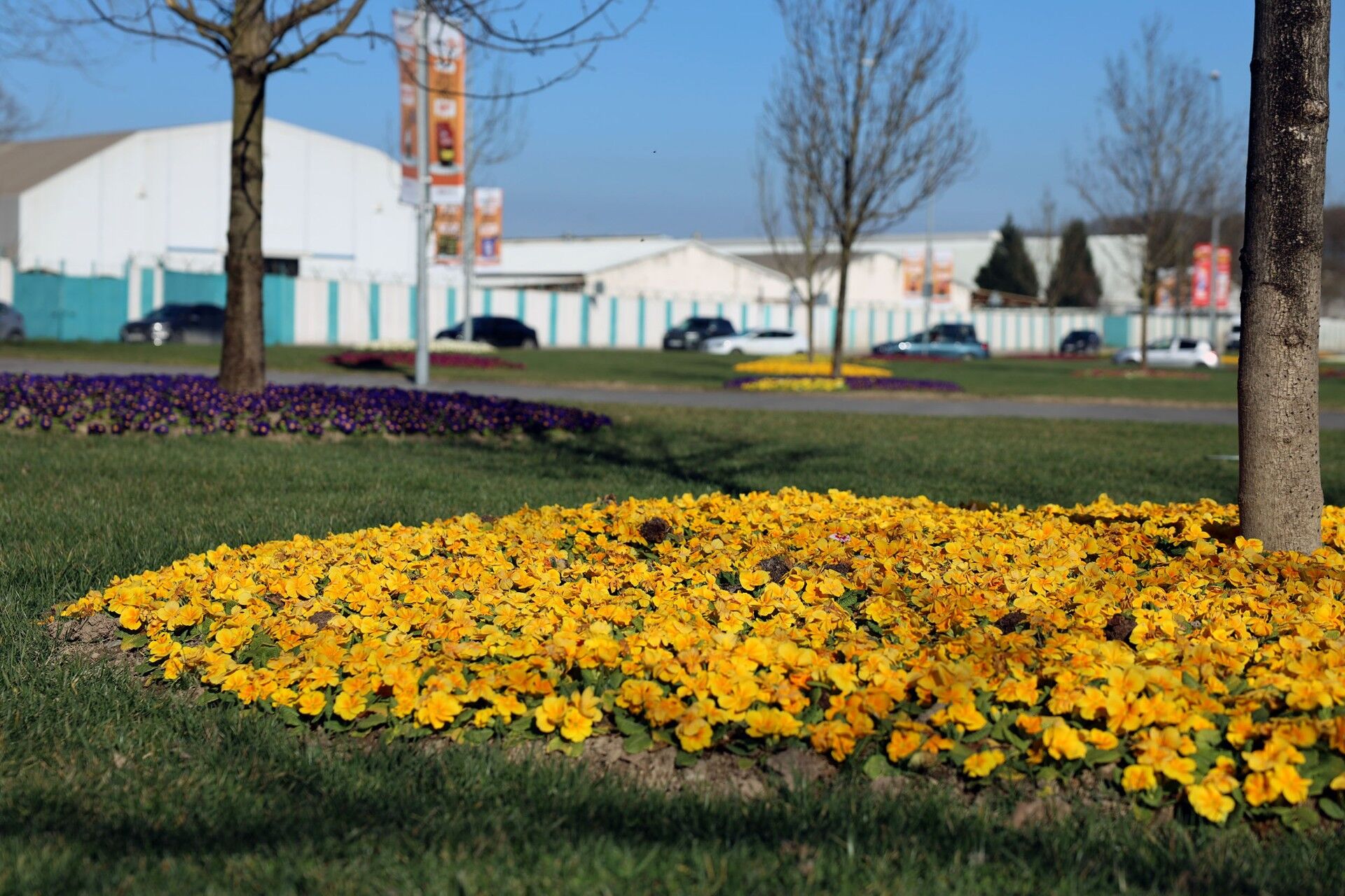 Ff5B0E83 20A1 4B81 8Dbe 930Cd553F03F