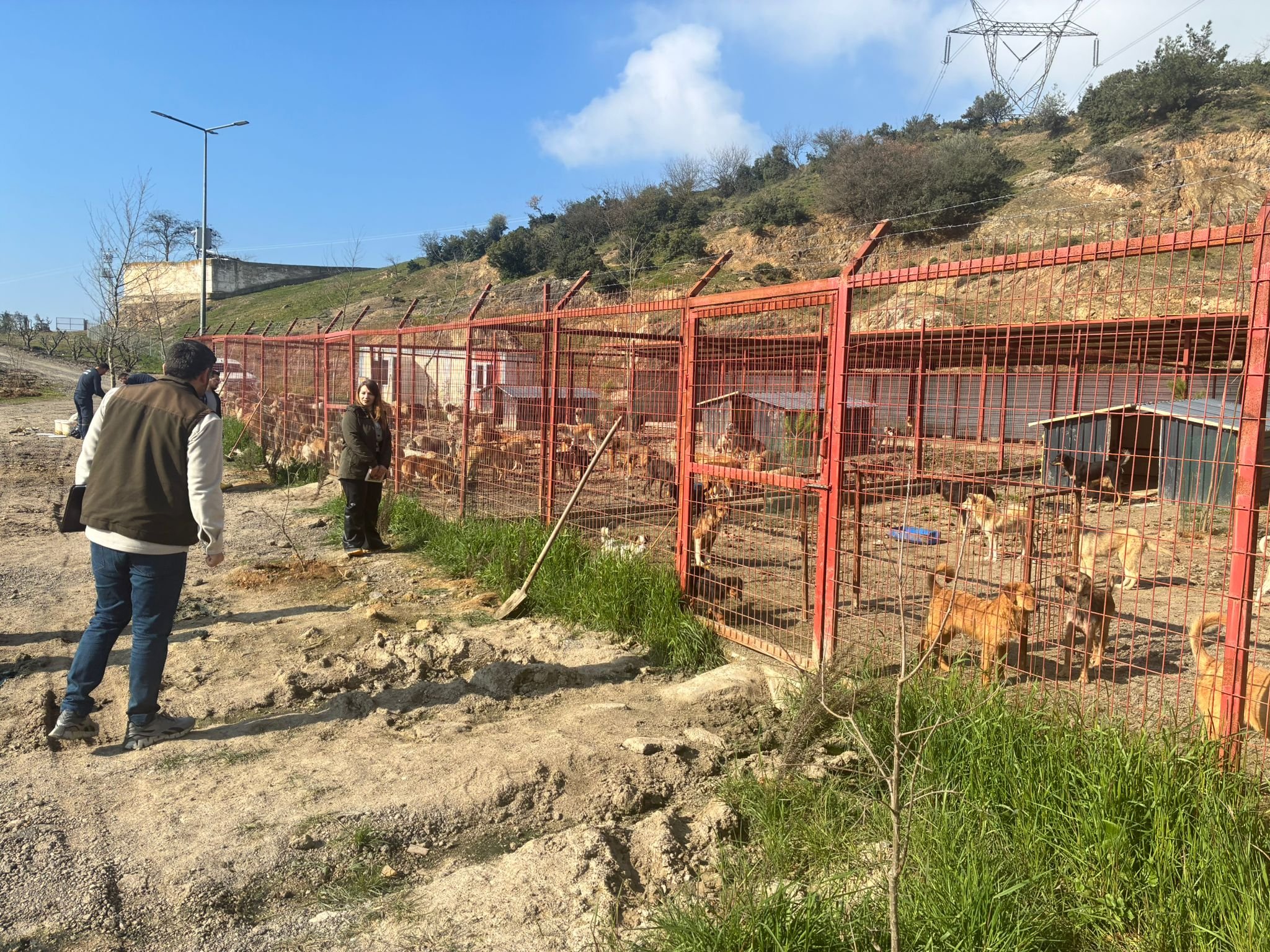 Whatsapp Image 2026 03 07 At 15.11.21