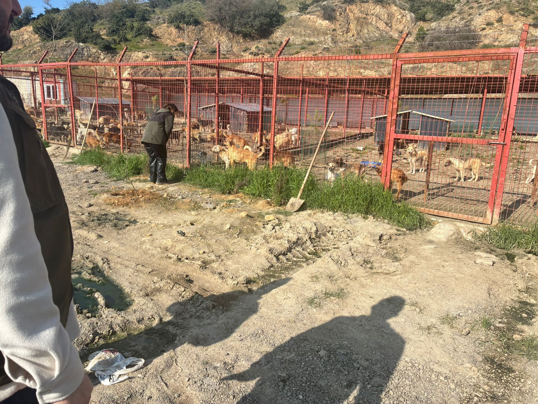 Whatsapp Image 2026 03 07 At 15.11.214