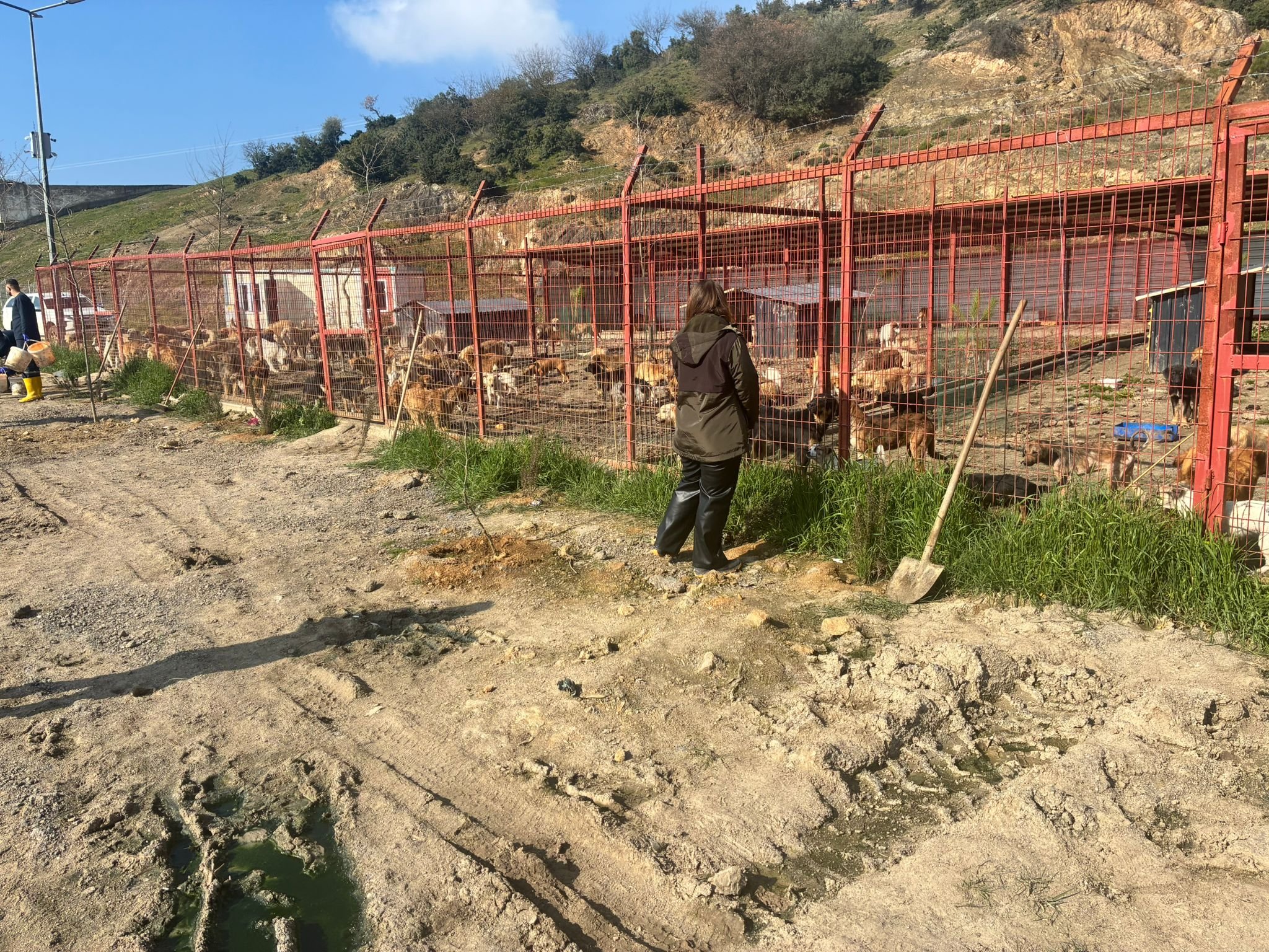 Whatsapp Image 2026 03 07 At 15.11.229