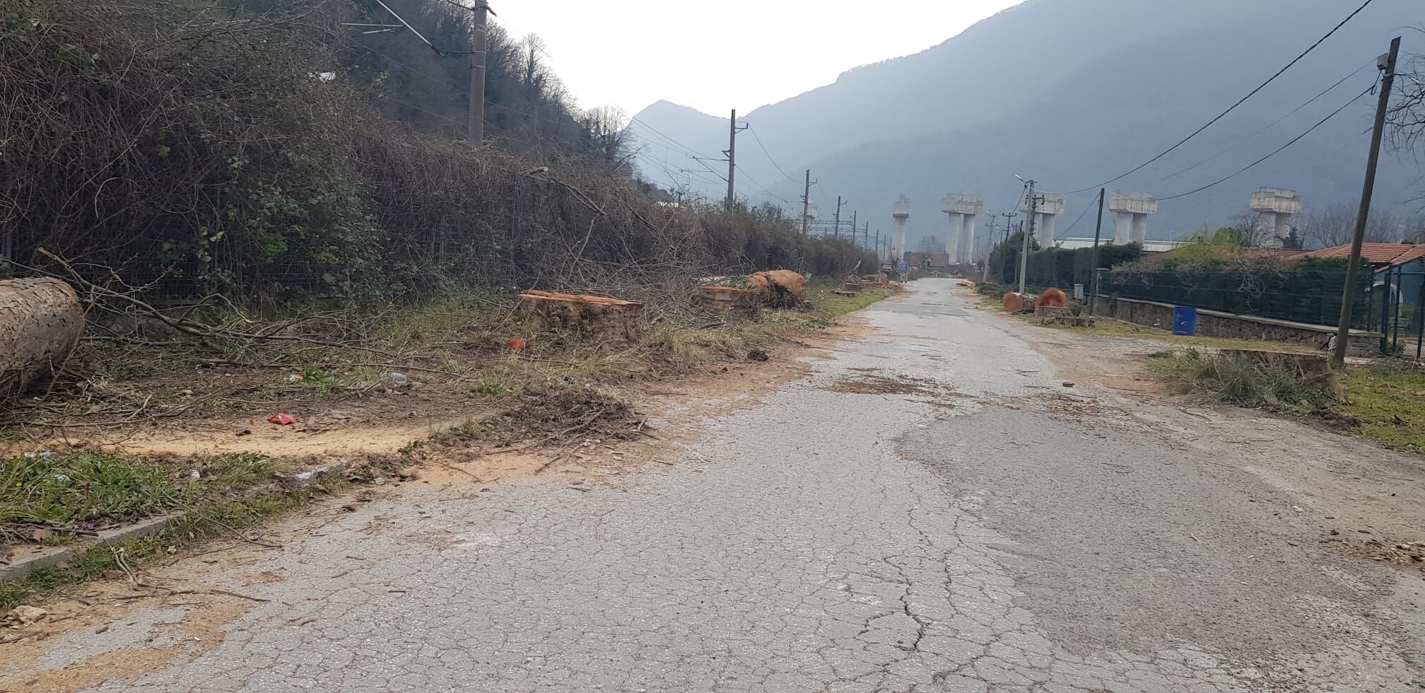 Whatsapp Image 2026 03 12 At 19.06.56 (1)