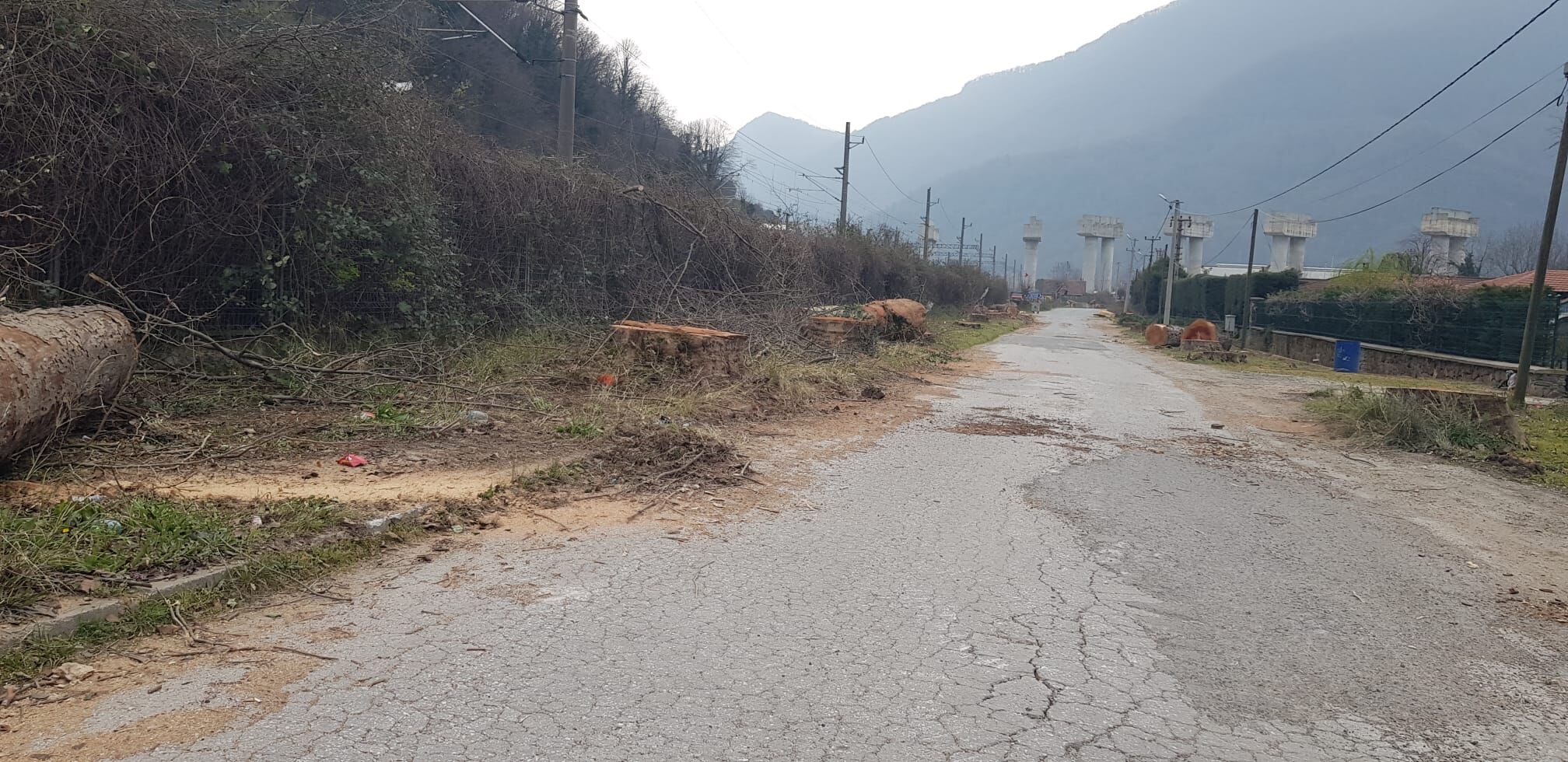 Whatsapp Image 2026 03 12 At 19.06.56