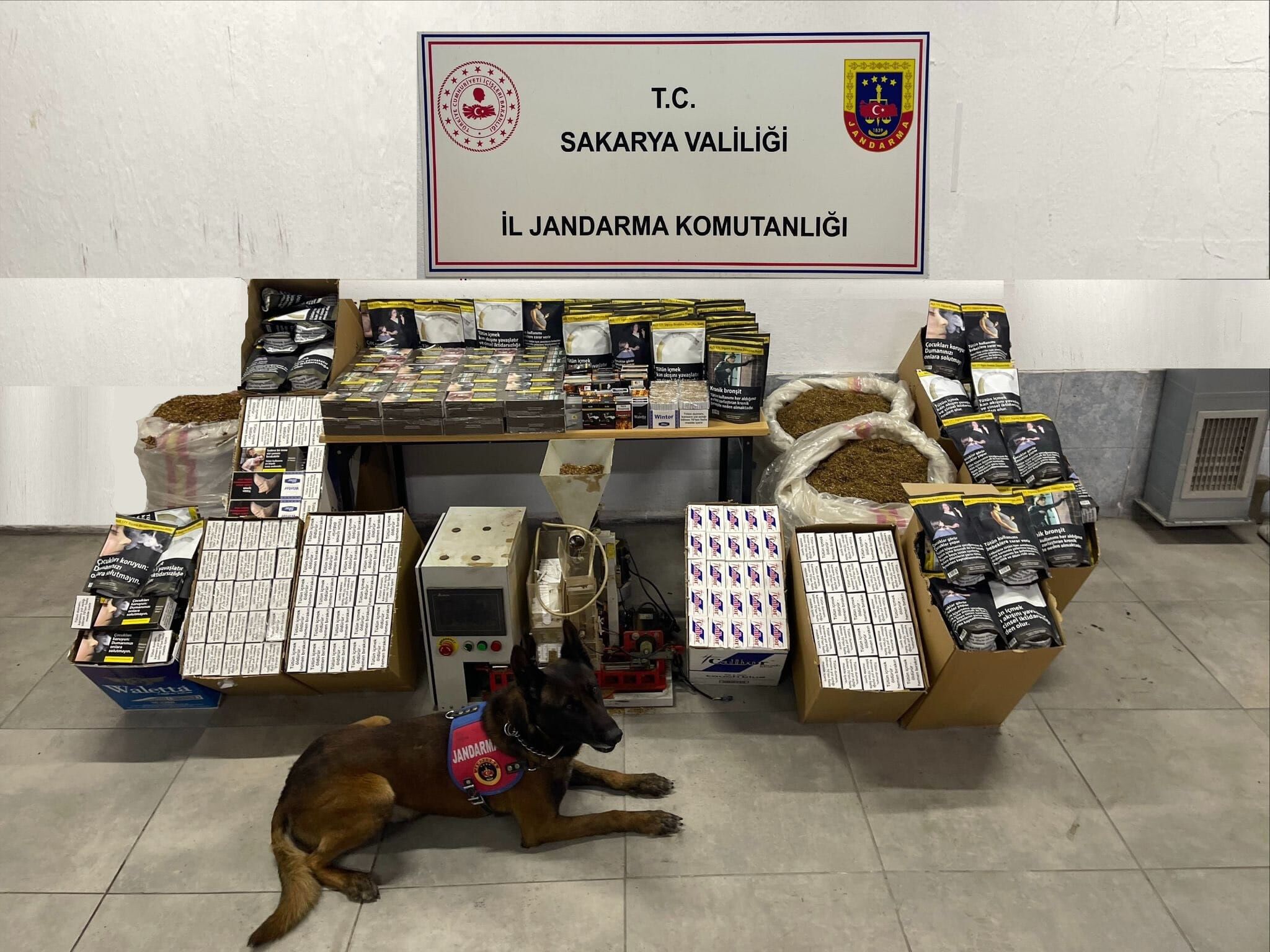 Whatsapp Image 2026 03 13 At 17.43.53