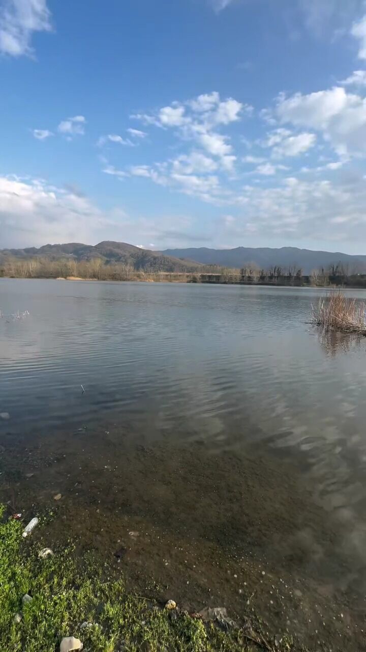 Whatsapp Image 2026 03 31 At 19.42.25 (3)