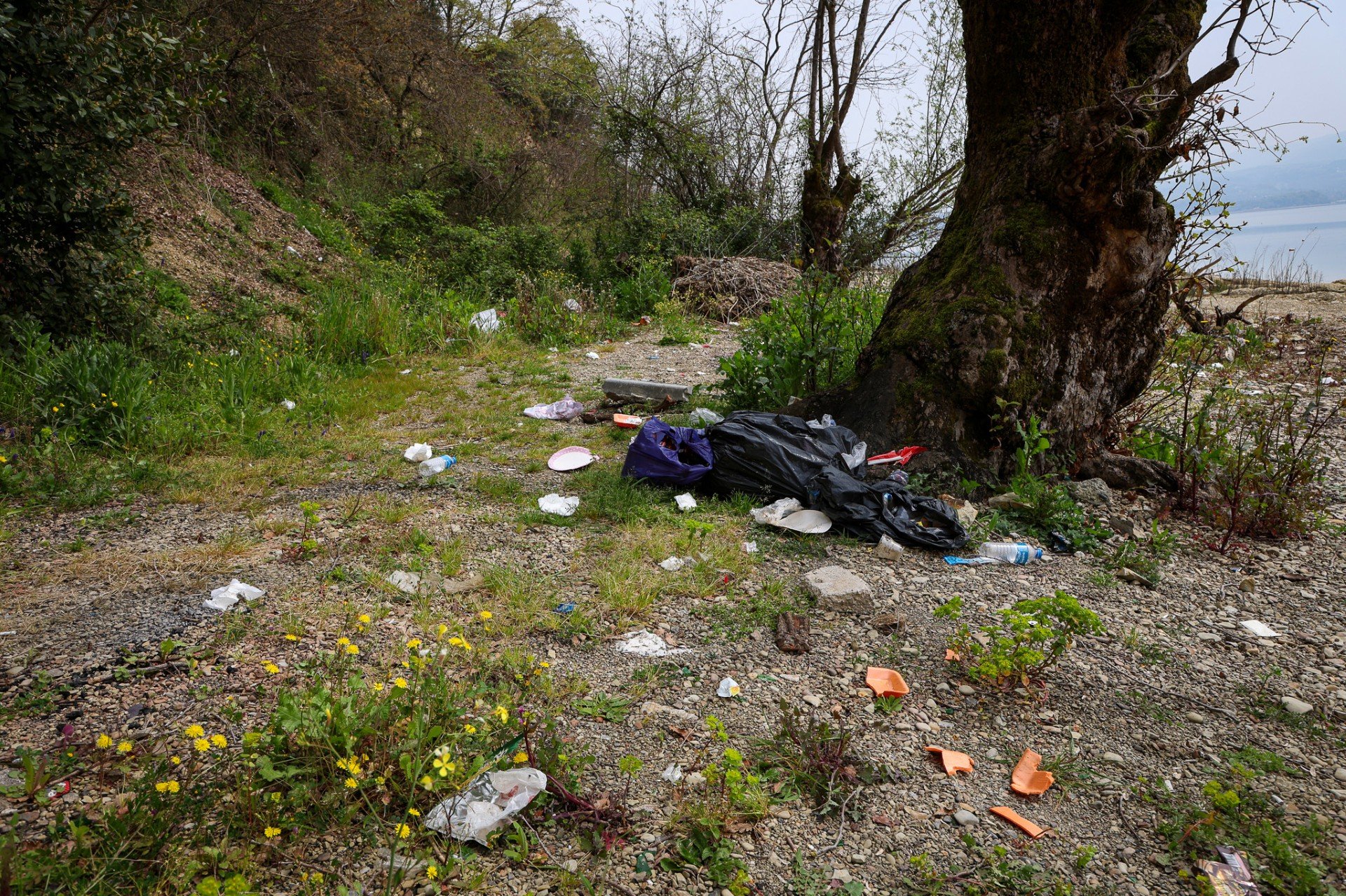 0C0F50E3 E608 4A89 A912 495B7B085E4C