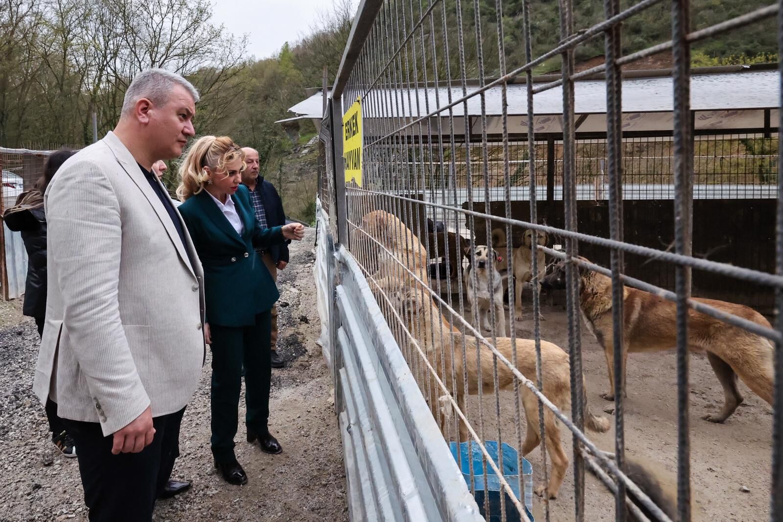 200Dae4C 806E 4699 8908 B424788E0D98