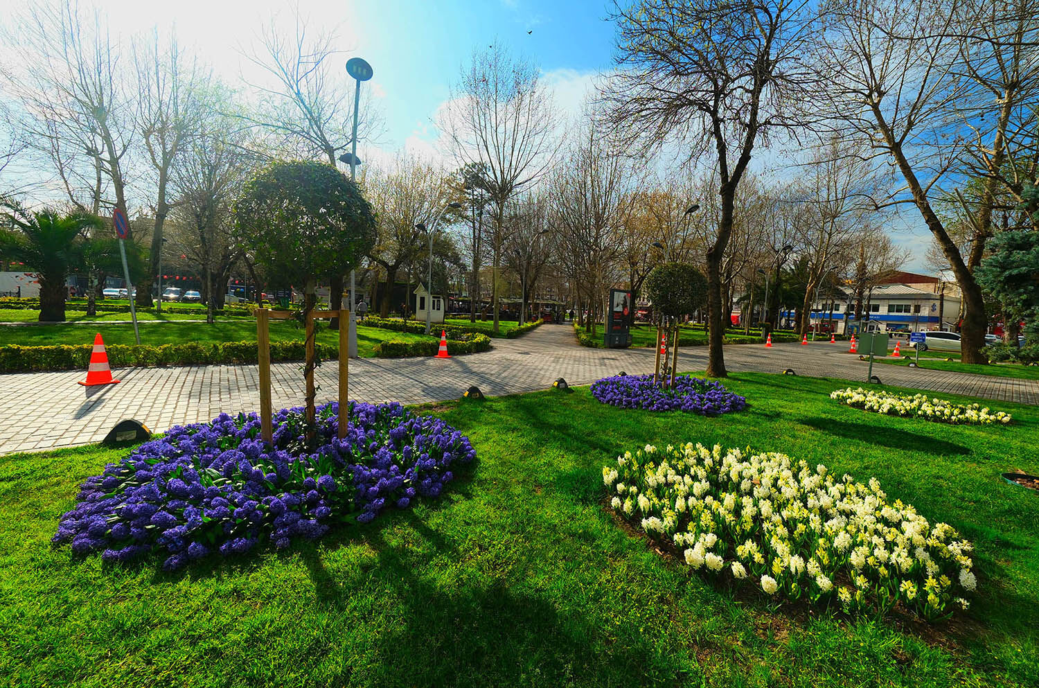 2C64Aead 3416 4Eb1 97B0 17753D0A138F