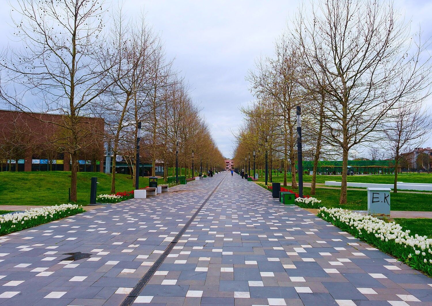 2E6925F3 520C 4Ed0 90Ed 141D148D0D69