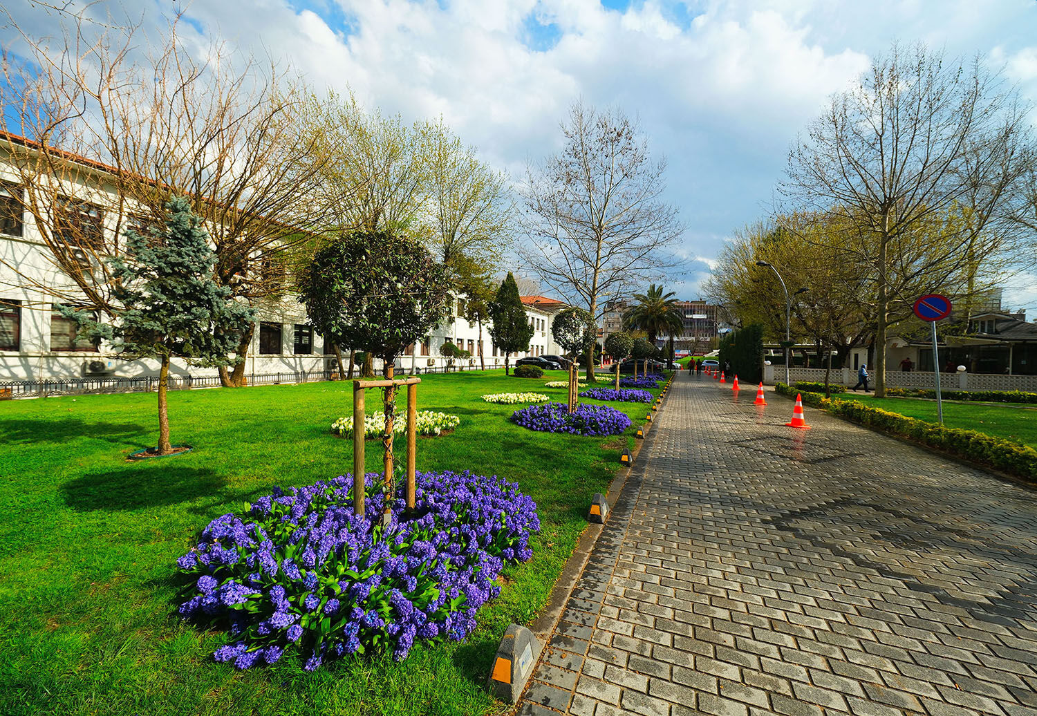 351Ebbf1 26F5 4824 Ad15 1F0E11F56E05