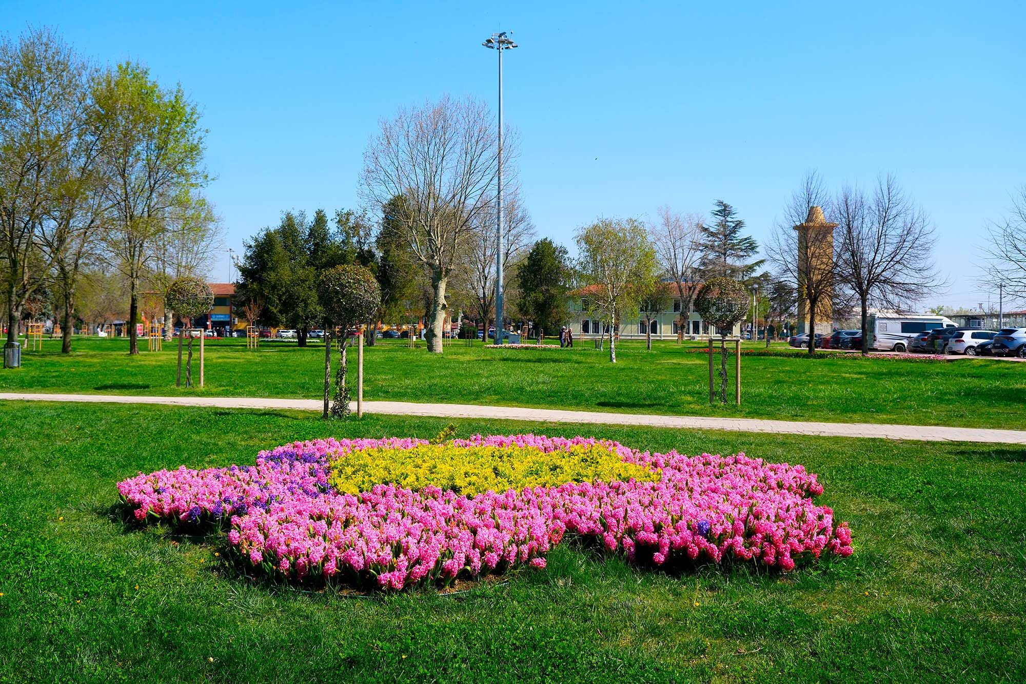 356B9089 074B 4D3C Ac4B Aed412E33B1B