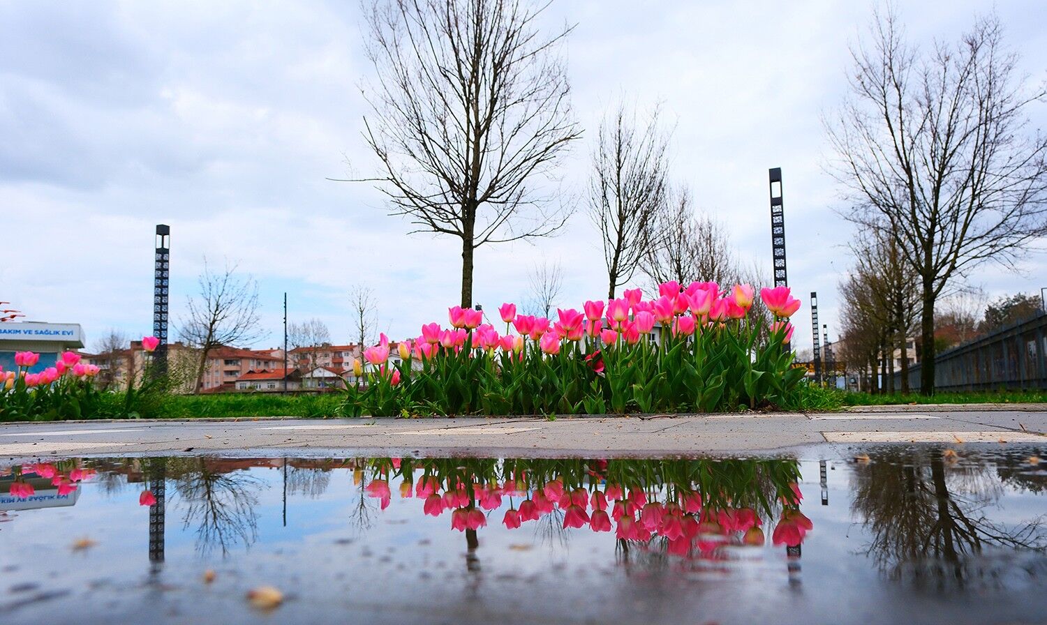 402B6F59 0Fa0 4393 Ae85 5355Bbef4C95