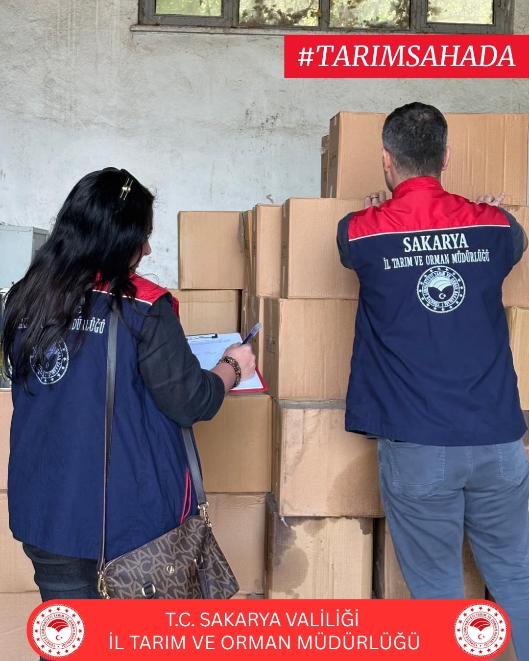 671173212 1294254372887494 2045000211467516937 N