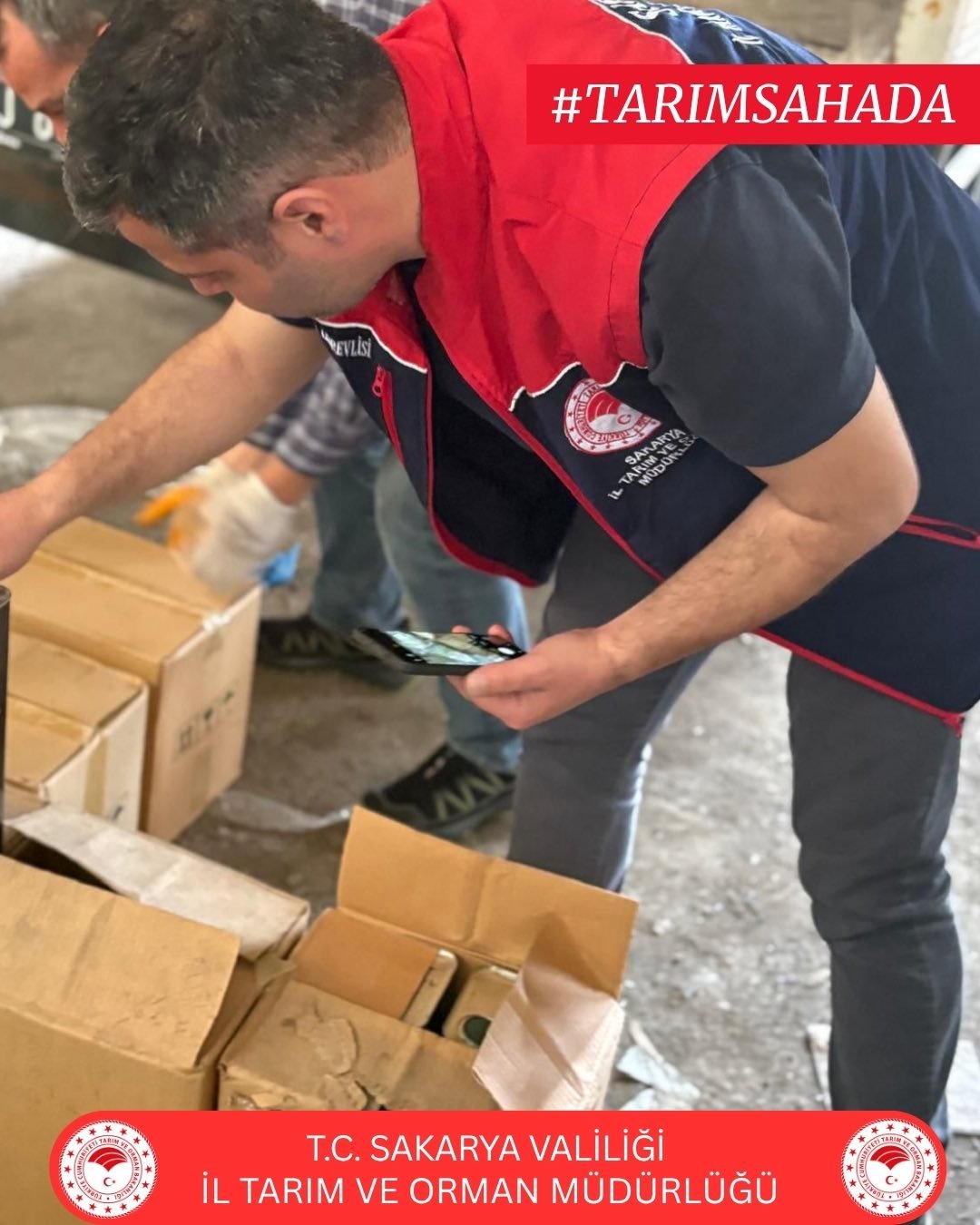 672128878 1294254439554154 7381373204177049610 N