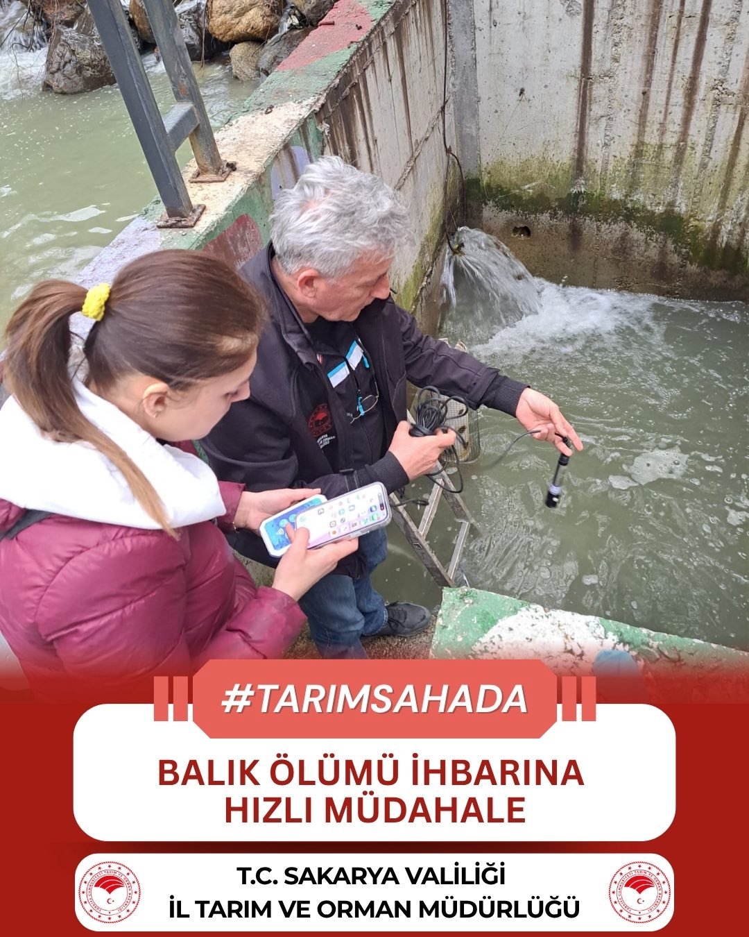 674586520 1298001869179411 1810467555594816596 N