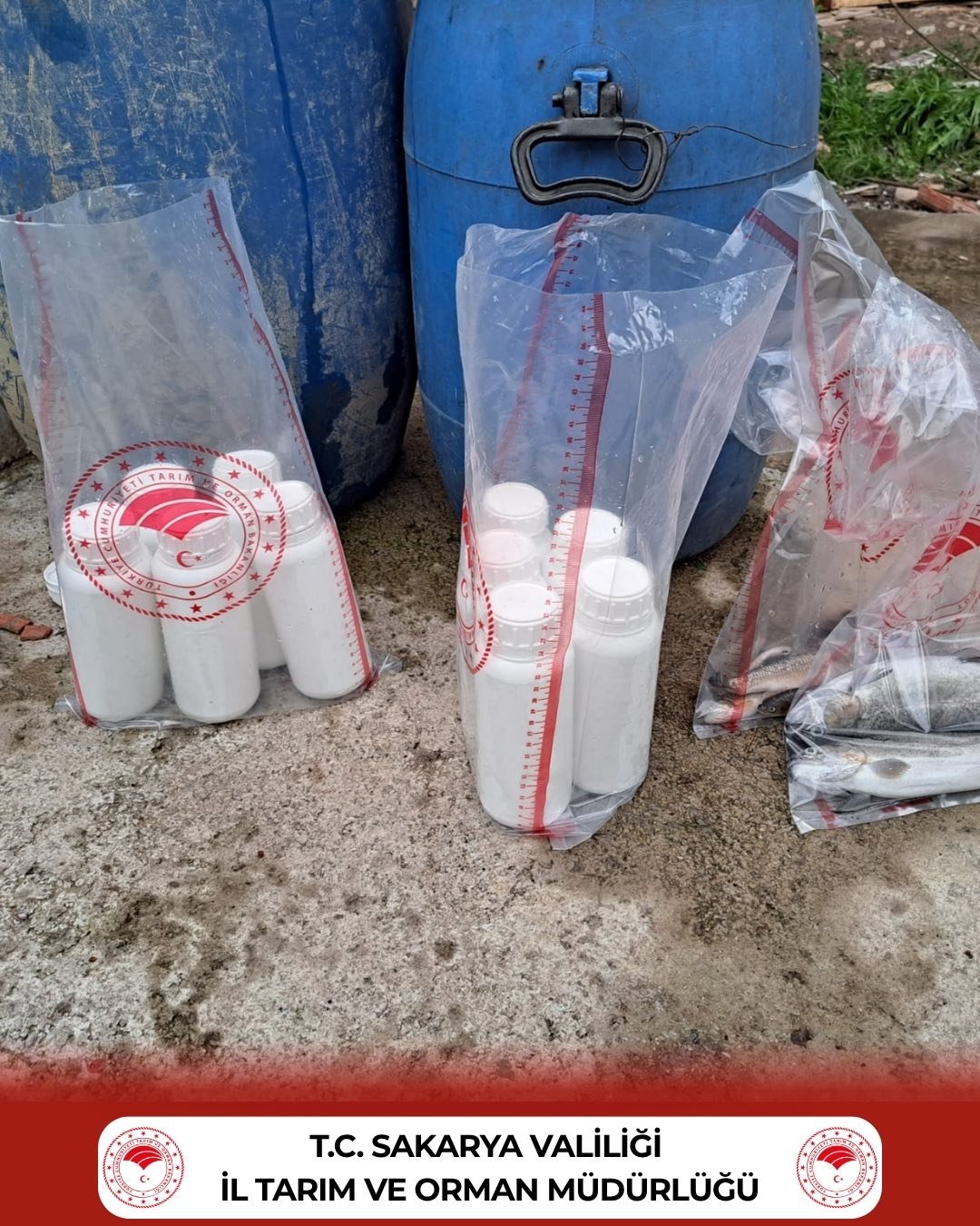 675012362 1298001959179402 548171527090911387 N