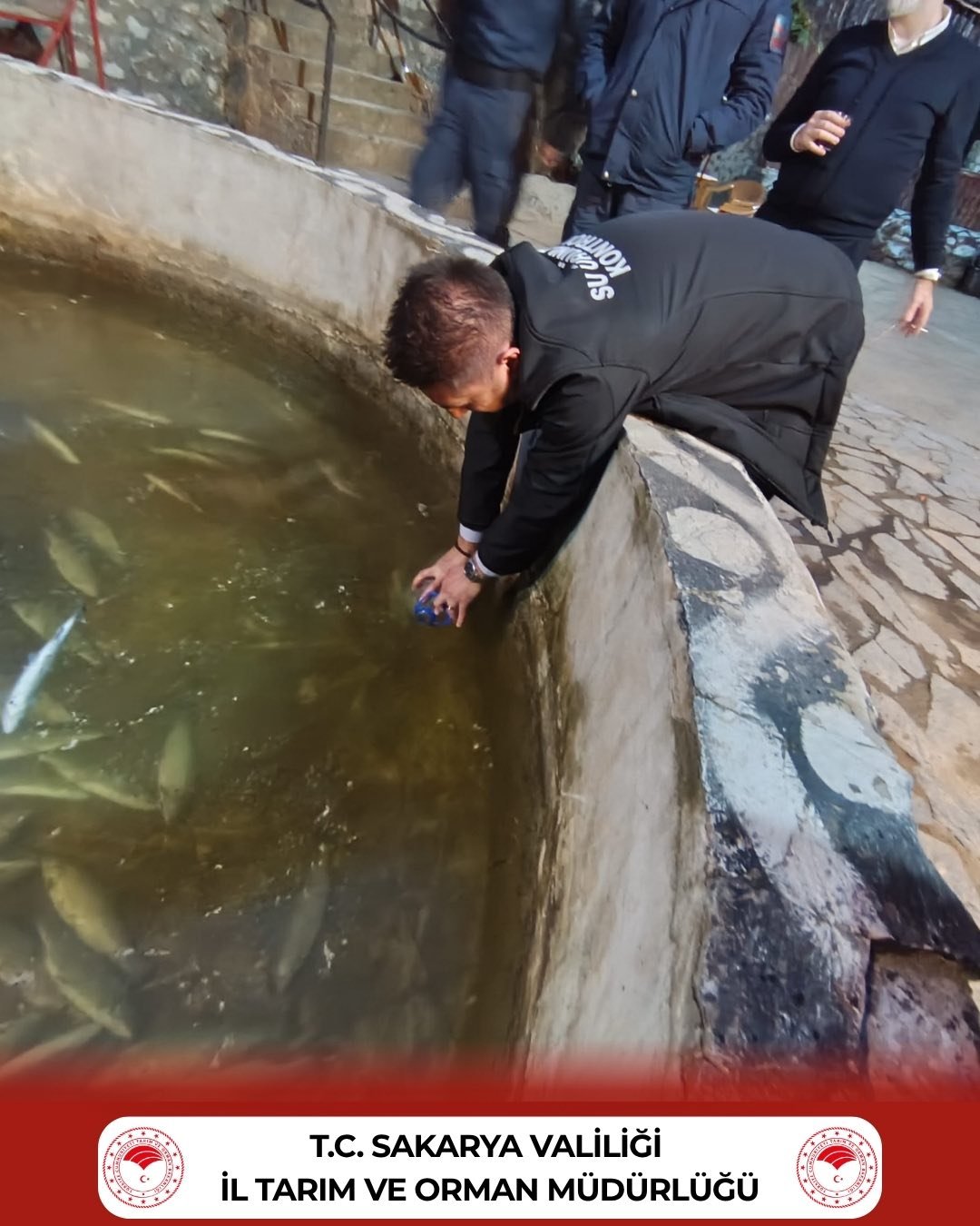 677024741 1298001969179401 3680698600310636723 N