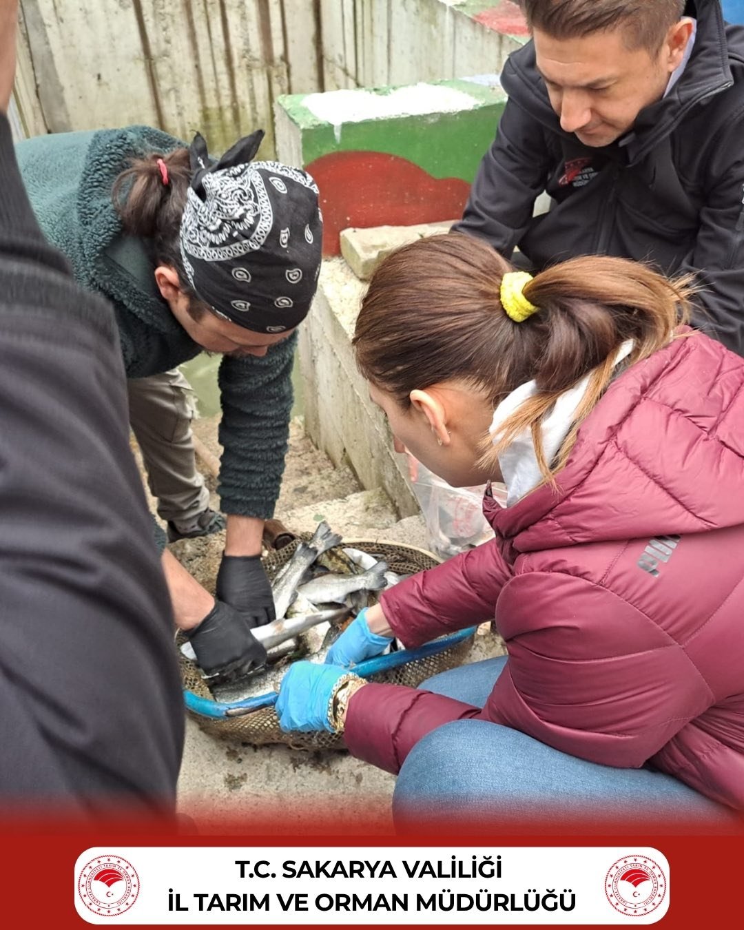 678411425 1298001992512732 7369813949850966988 N