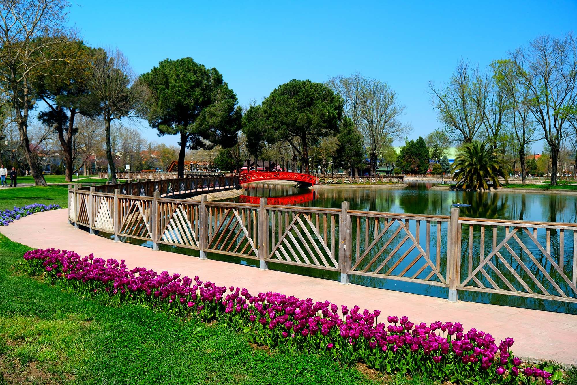 75Ea37D7 6C7A 4Ab3 8D9B 728E86C83Ea3