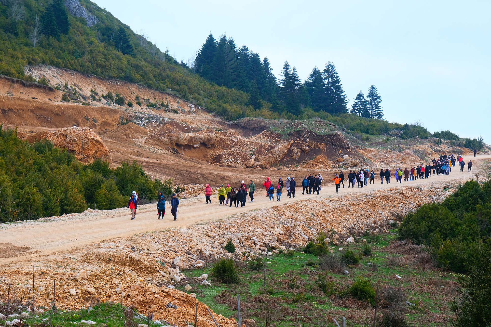 7E96F18F 7107 4A49 Bfc7 7E62B1E02A5B