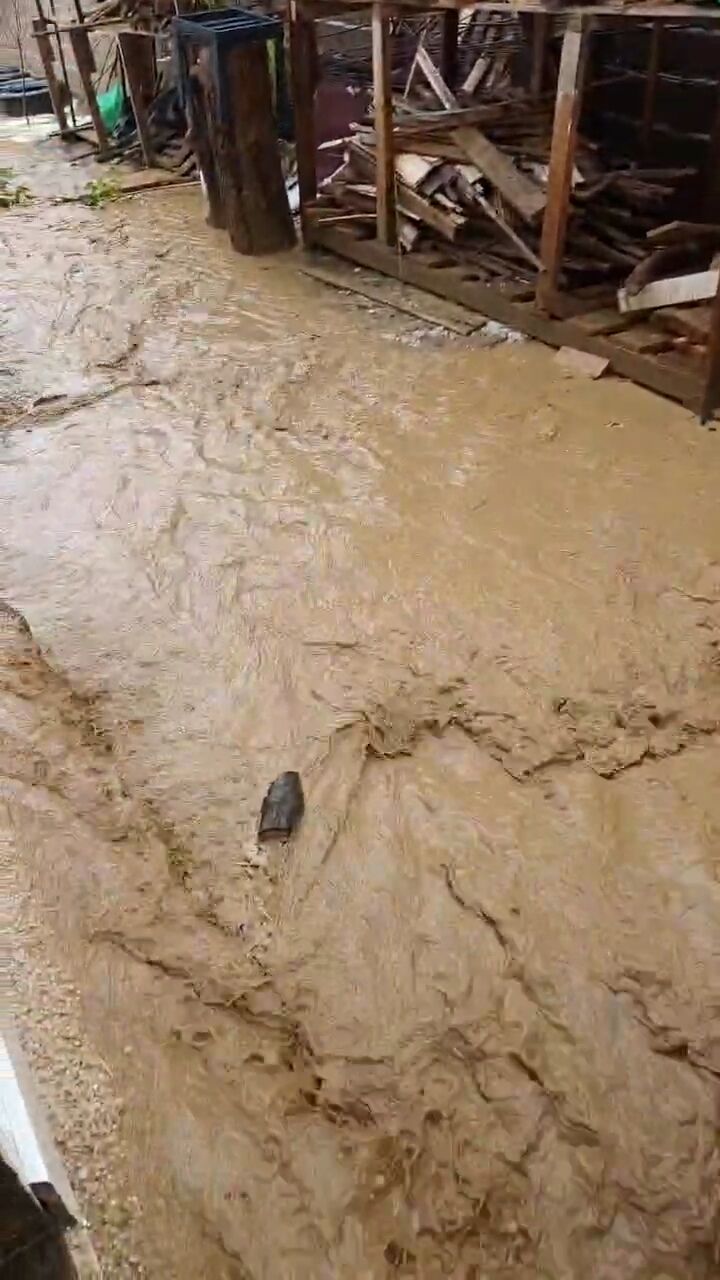 915Dd0B5 D175 4D07 963E A304883B94C8