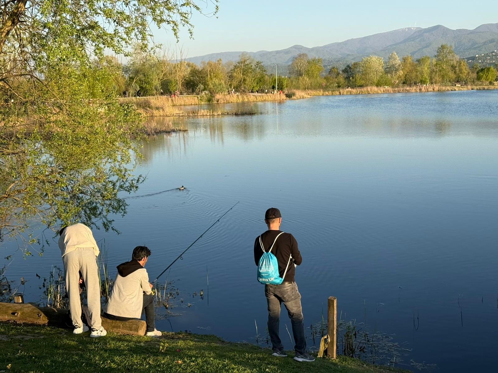 9374B9Ce 6Cb4 4Ce6 B454 0F19B693E8Ec