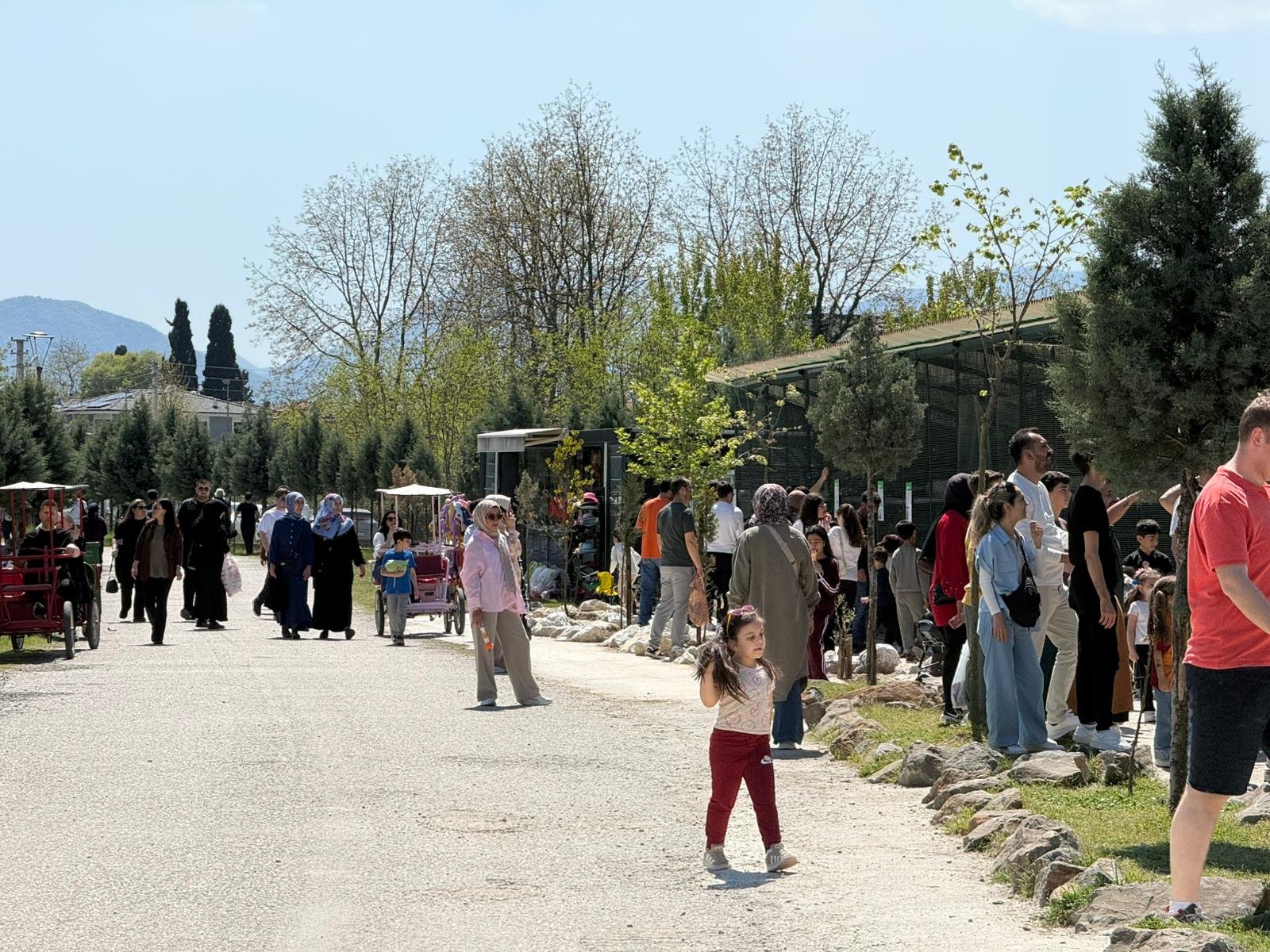 A3389D58 9A5B 47A5 9502 De555A2E8Ba6