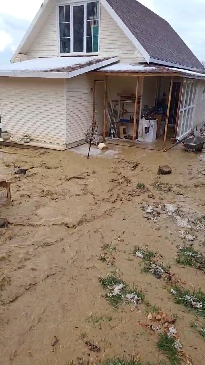 A7277787 1D53 4Ff0 Ba49 14D729D2E507