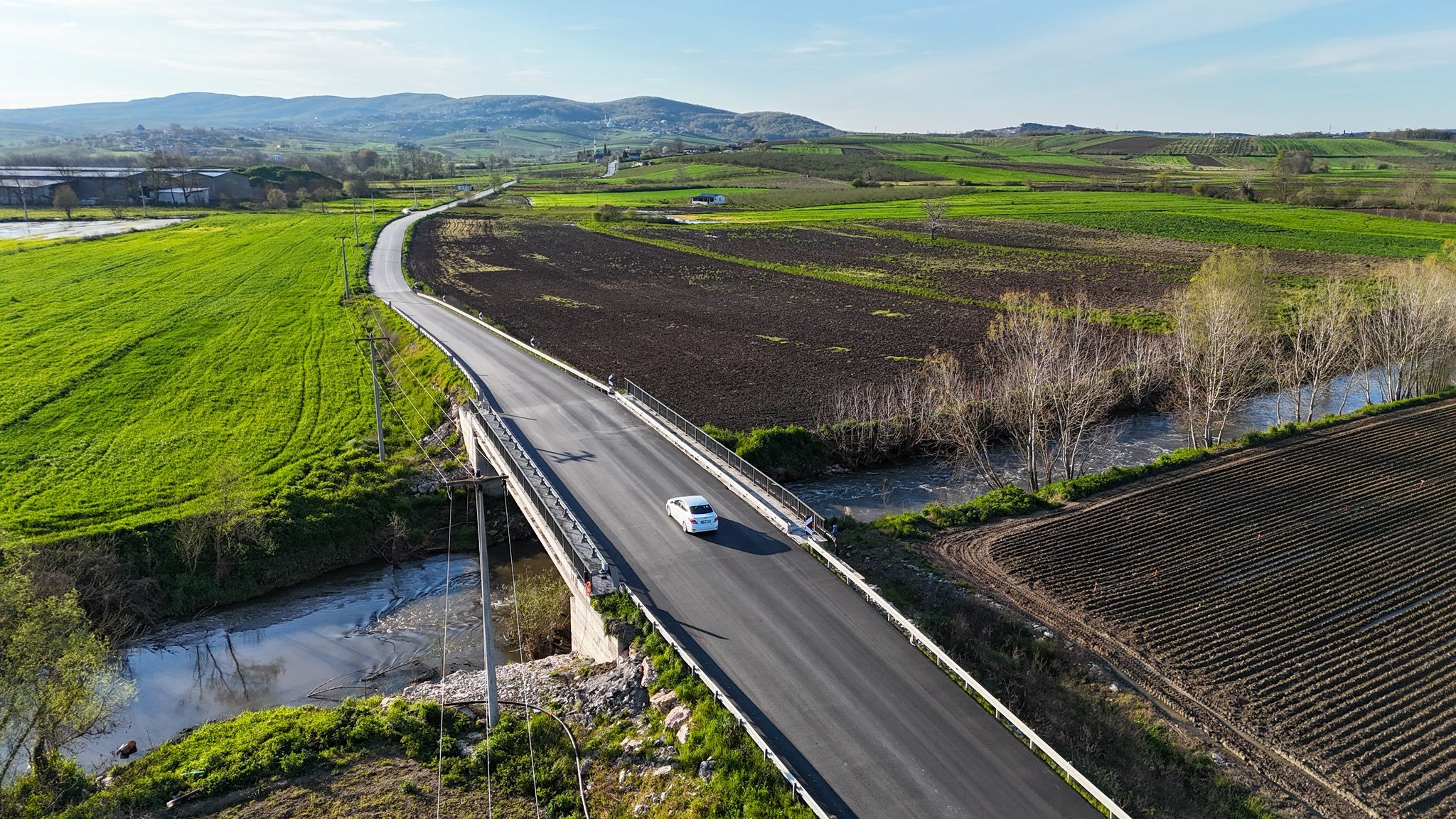 A77F3353 36Ef 4504 85Ce F47C02755B6B