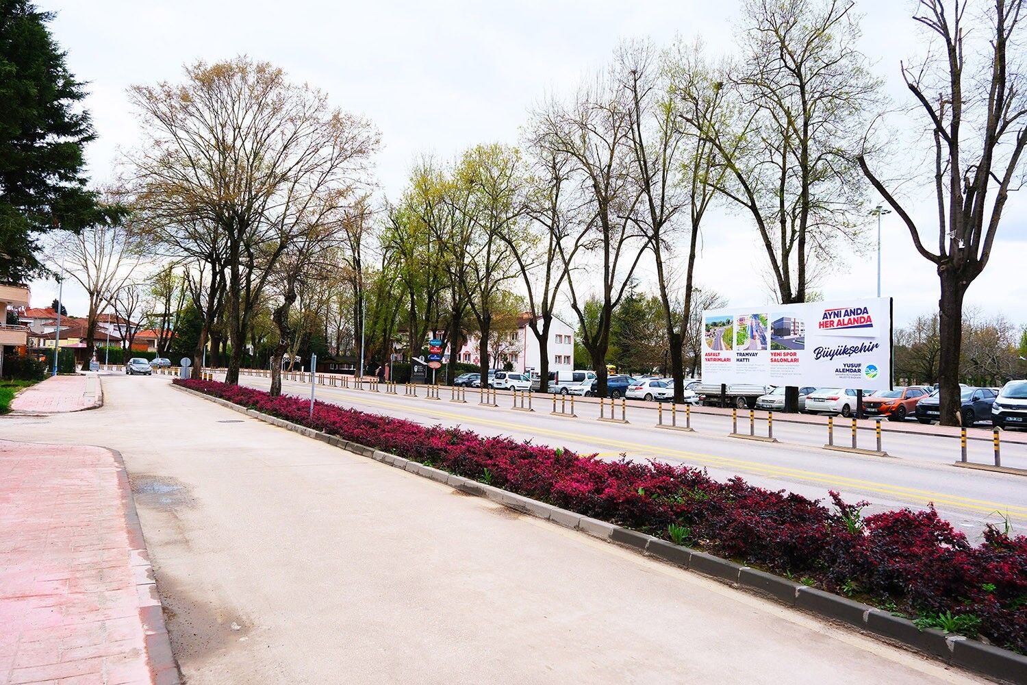 Aae21B85 D2Cb 4Ffc A967 2D2F05C2B2B8