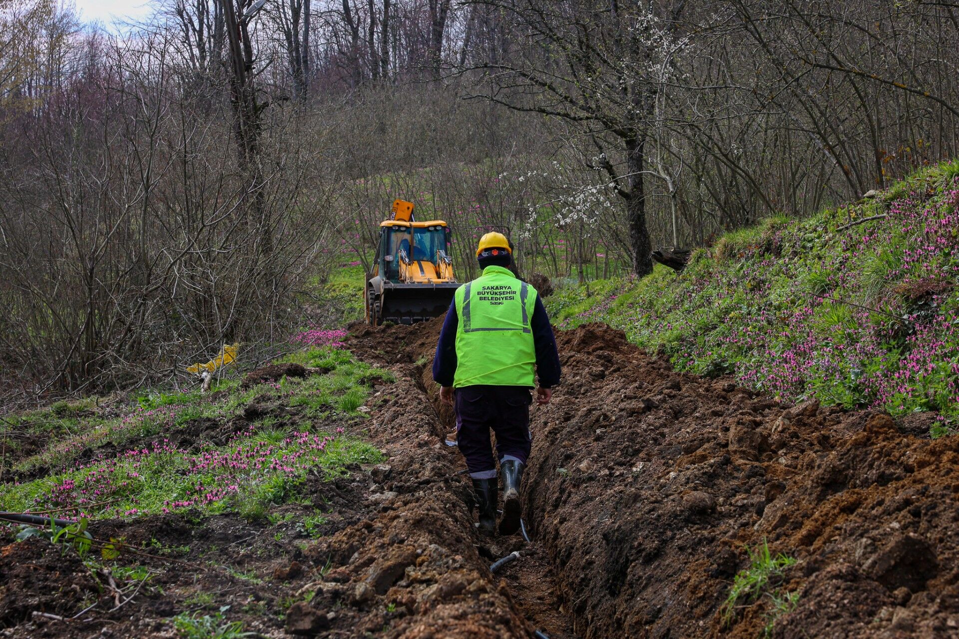 B930C45B 59Fd 4155 A6D9 7C5F9929F4Ff