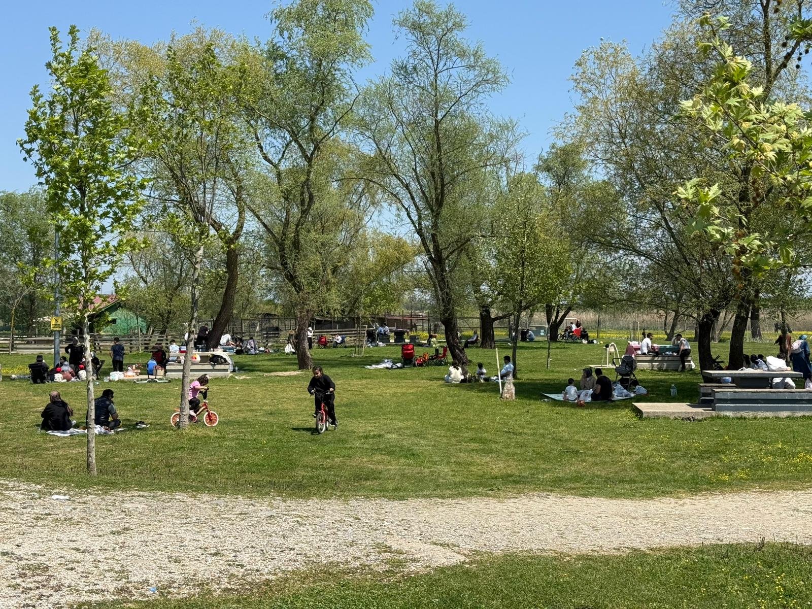 C8Dbb91D 143A 4128 93E2 98F23A8Beb14