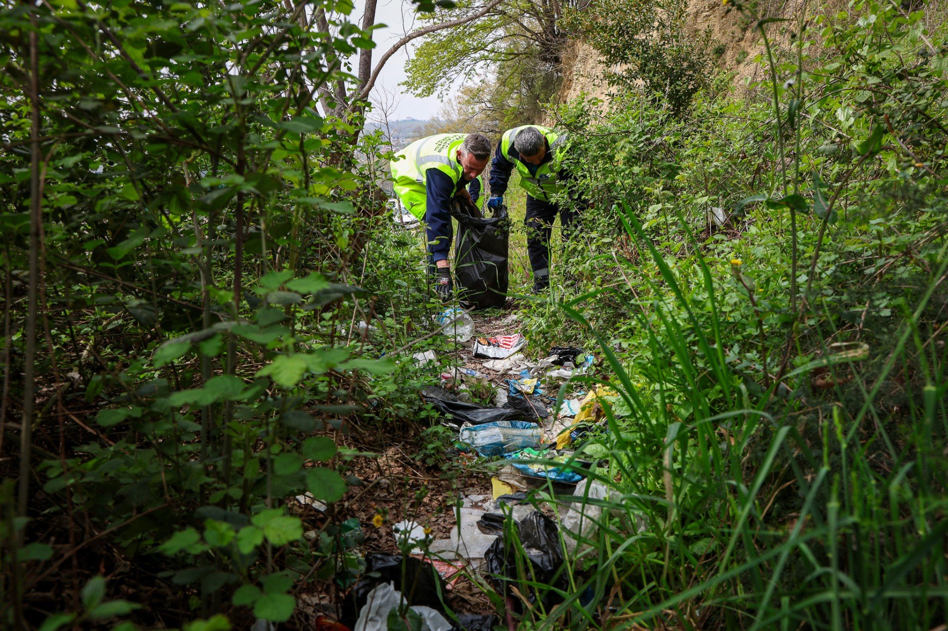 Cbba35C0 1689 48Af A9A4 E2704Cd3F44F