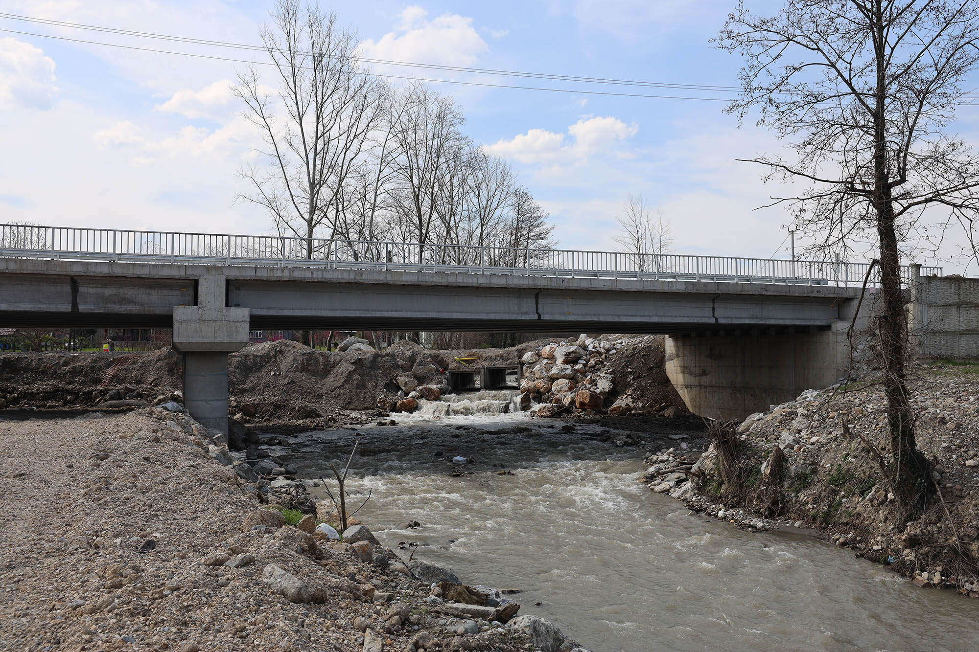 D44Ee785 Bd53 4198 B2Fc 2Fc56Da1Dcd4