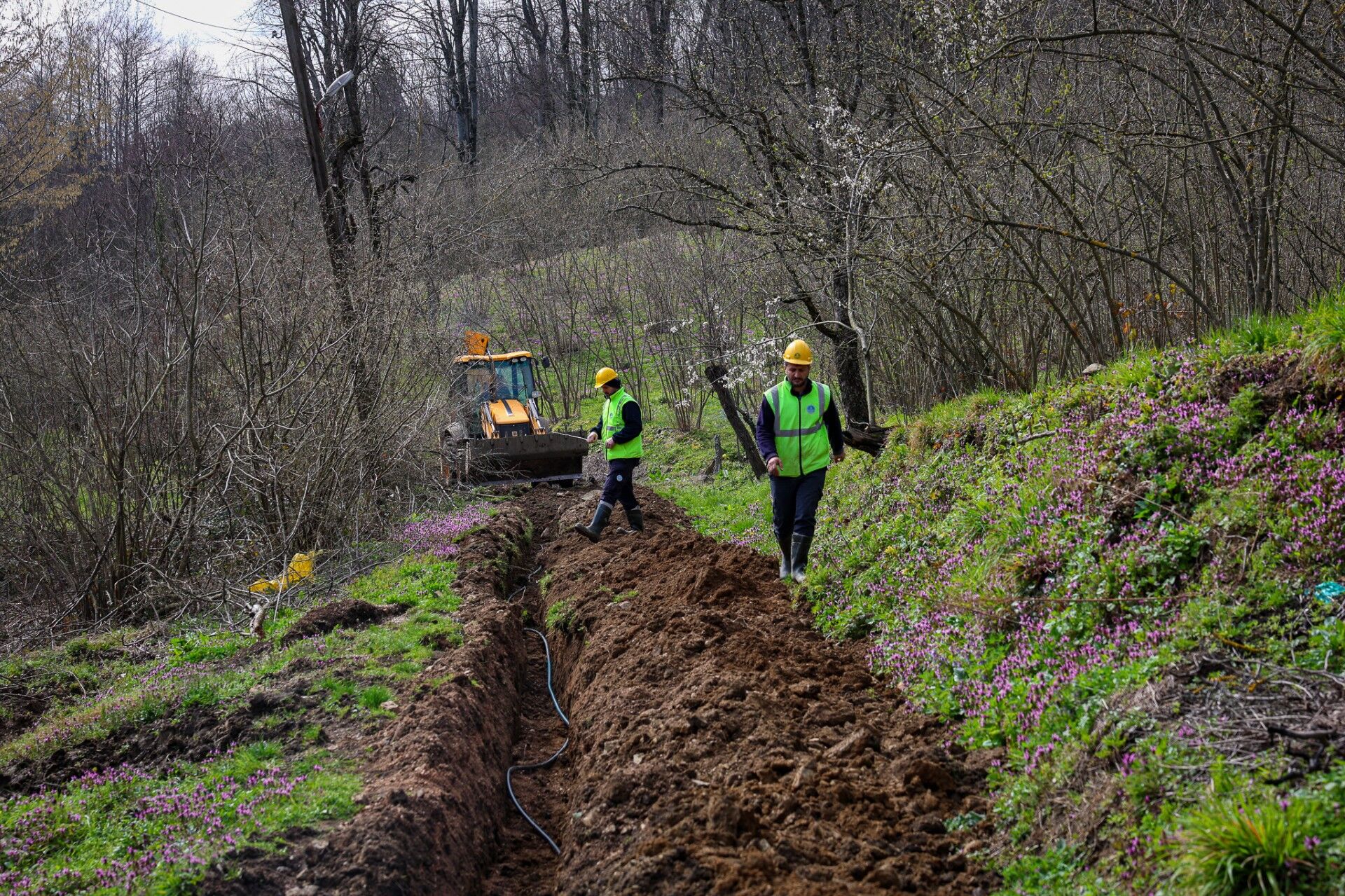 D9445822 764D 45B9 A197 C7439021646F