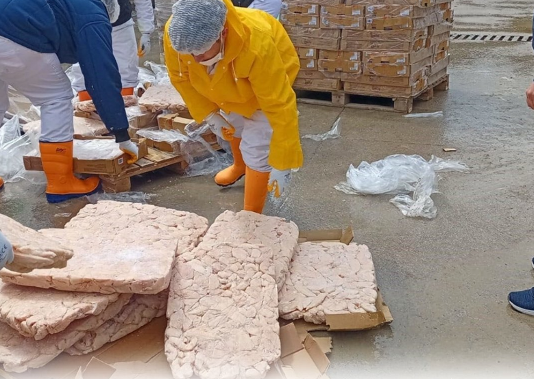 Ekran Görüntüsü 2026 04 11 165917