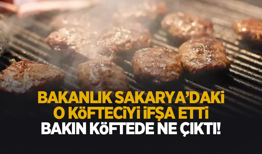 Sakarya'daki o köfteci ifşa oldu; Köftede bakın ne çıktı