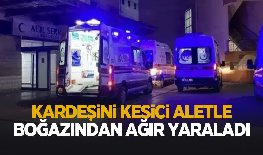 Kardeşini ağır yaraladı