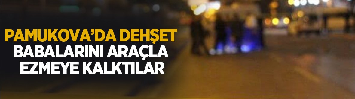 Babalarını araçla ezmeye kalktılar