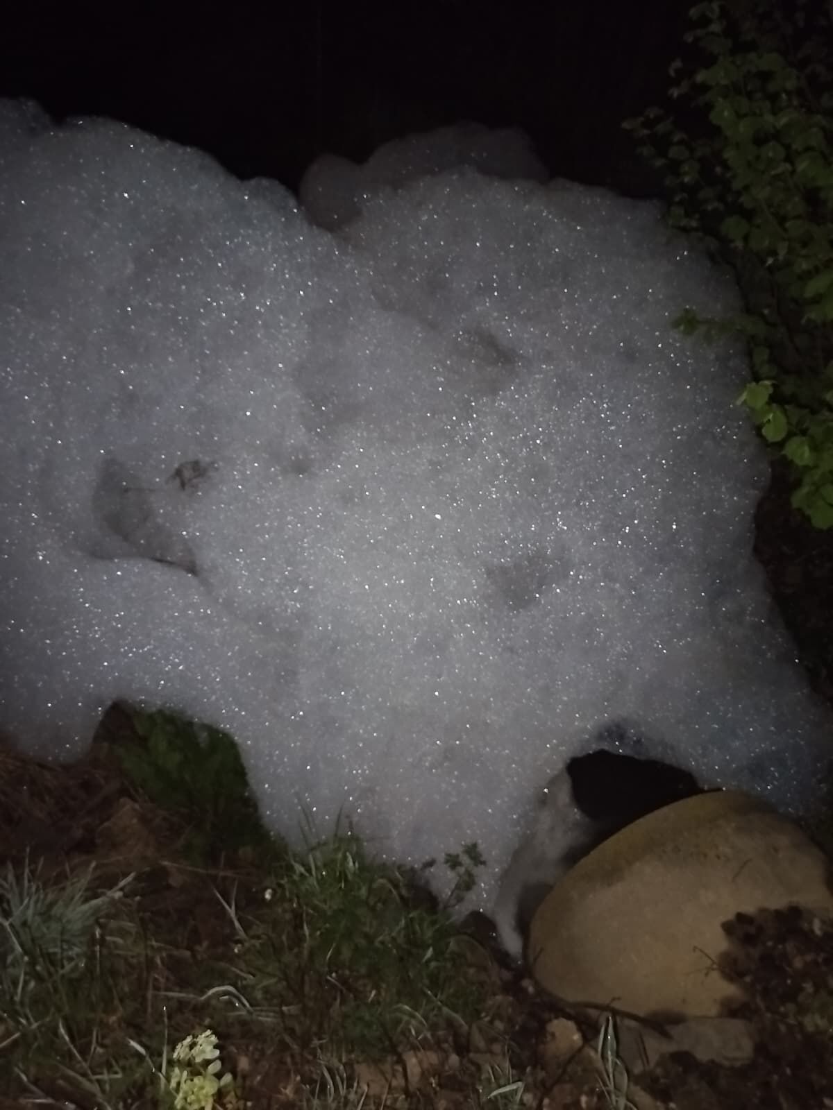 Whatsapp Image 2026 04 02 At 20.16.32 (1)