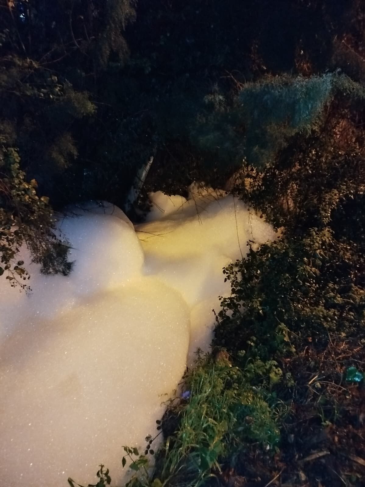 Whatsapp Image 2026 04 02 At 20.18.15 (1)