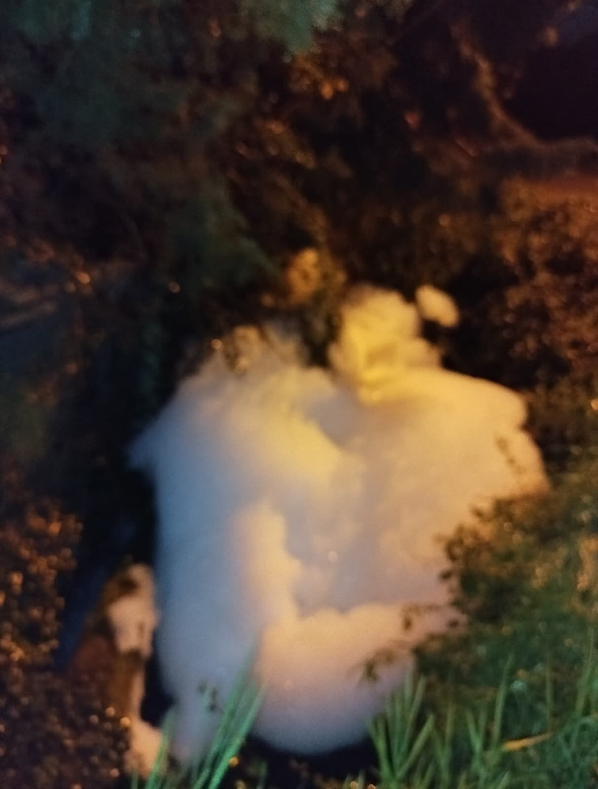 Whatsapp Image 2026 04 02 At 20.18.15 (2)