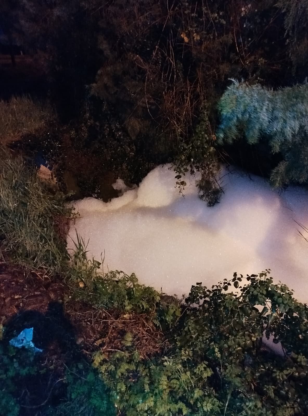 Whatsapp Image 2026 04 02 At 20.18.15