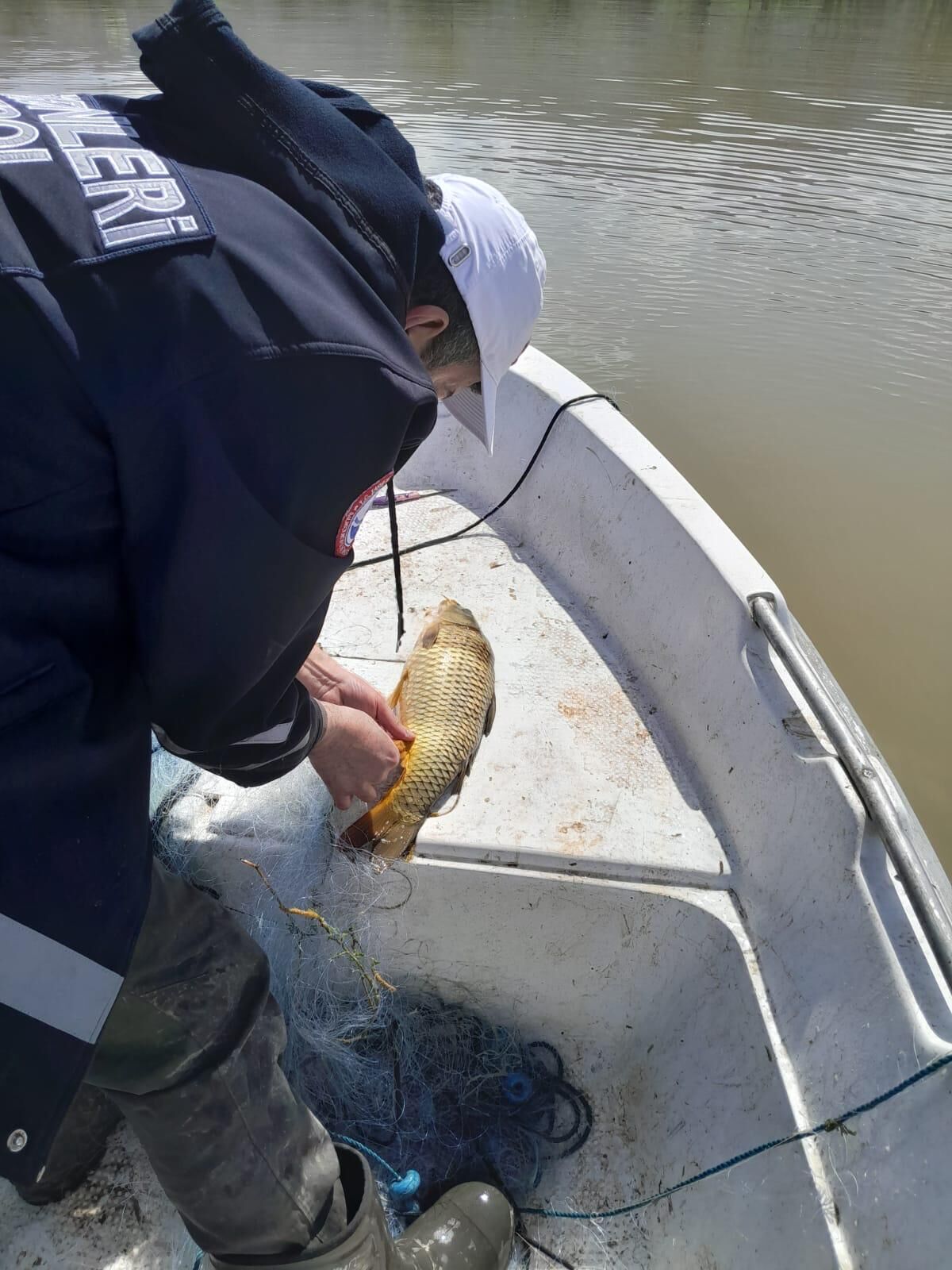 Whatsapp Image 2026 04 03 At 10.31.287