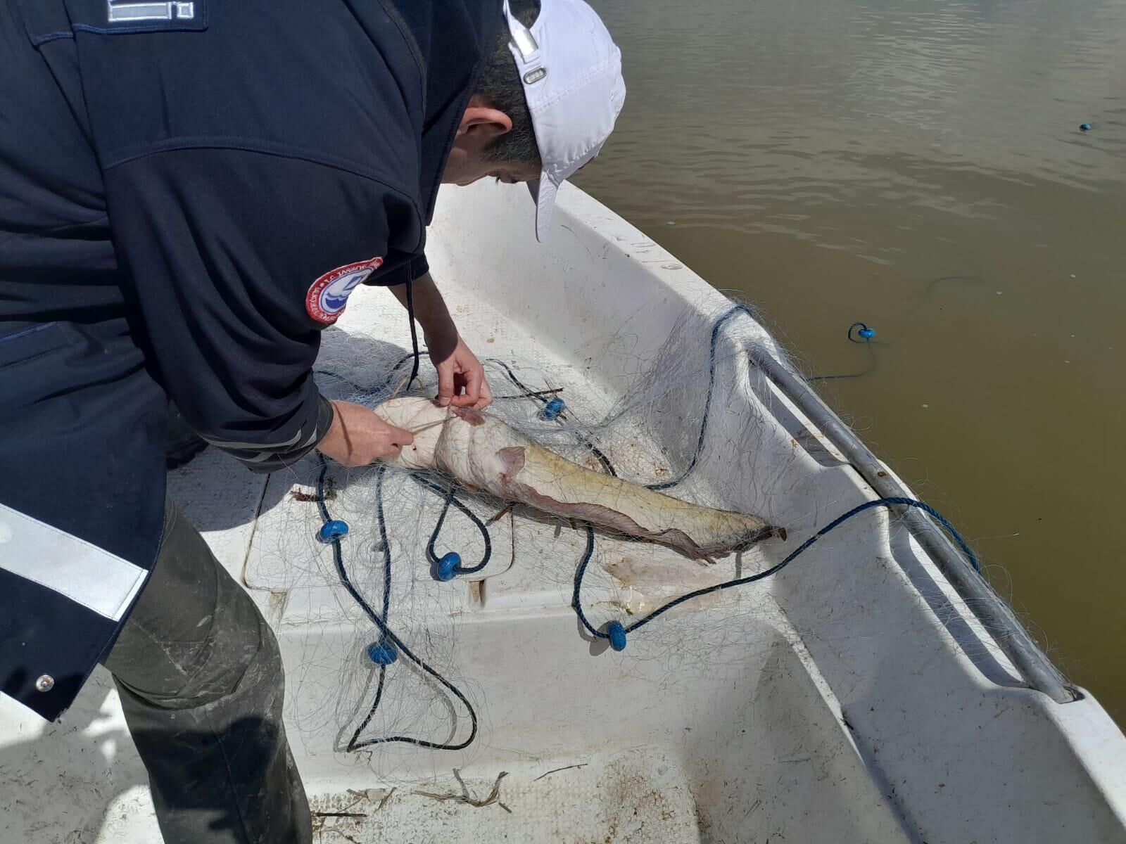 Whatsapp Image 2026 04 03 At 10.31.2912