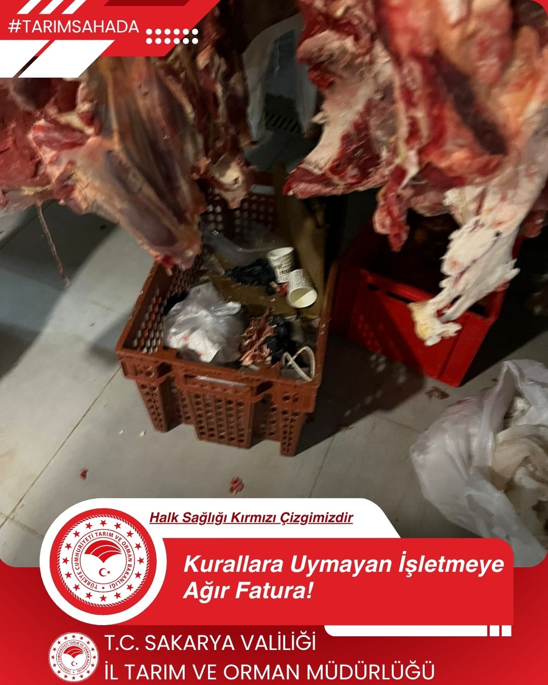 Whatsapp Image 2026 04 17 At 16.53.39124