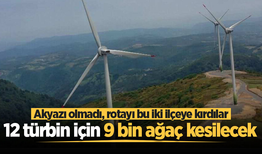 Akyazı olmadı, rotayı bu iki ilçeye kırdılar: 12 türbin için 9 bin ağaç kesilecek