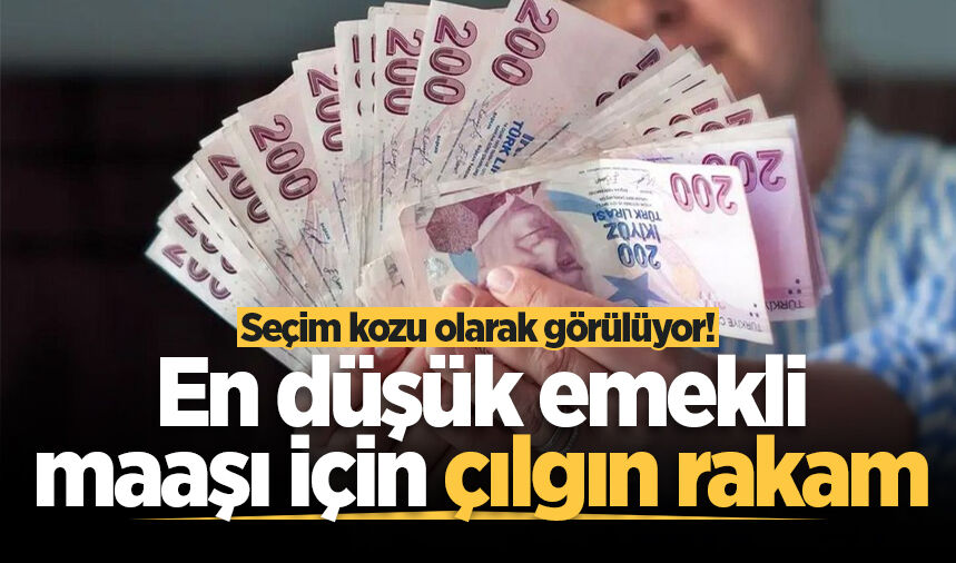 Seçim kozu olarak görülüyor! En düşük emekli maaşı için çılgın rakam