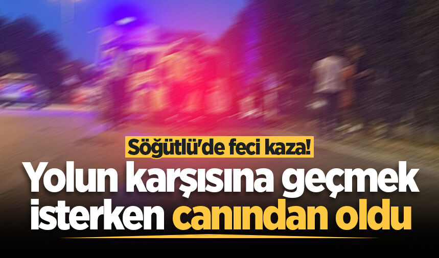Söğütlü'de feci kaza! Yolun karşısına geçmek isterken canından oldu