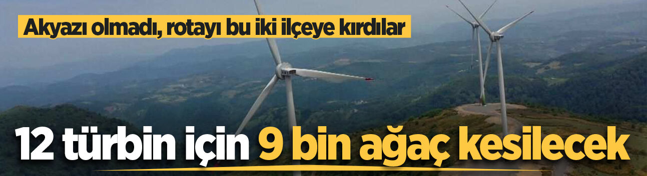 Akyazı olmadı, rotayı bu iki ilçeye kırdılar: 12 türbin için 9 bin ağaç kesilecek