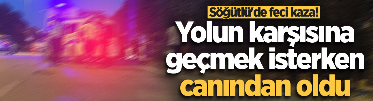 Söğütlü'de feci kaza! Yolun karşısına geçmek isterken canından oldu